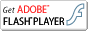 Y^pEsYEN΍̃GXeBA FlashPlayer